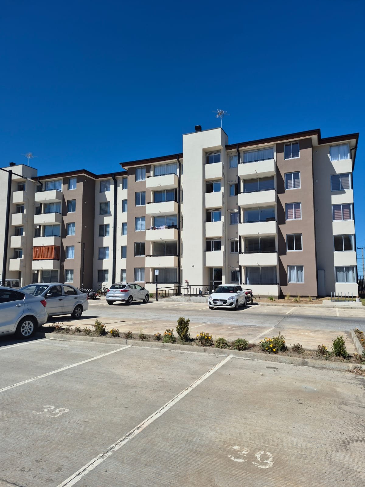 Departamento de 3 dormitorios y 2 baños en arriendo · Los Ángeles - 13